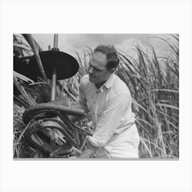 Mr Wurtele, Inventor Of Sugarcane Harvester, Attempting To Repair The Machine, Mix, Louisiana By Russell Lee Canvas Print