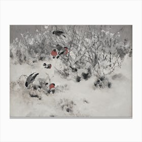 Bullfinches Winter Scene Birds Wall Art Print Canvas Print