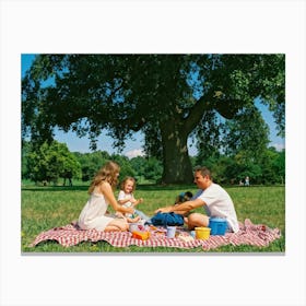 Family Of Four Enjoying A Day At The Park Scattered Picnic Items Children In Mid Laughter Chasing (6) Lienzo