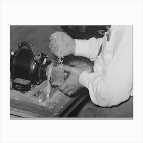 Placing Sample Of Rice In Milling Machine For Test, Crowley, Louisiana, State Rice Mill By Russell Lee Canvas Print