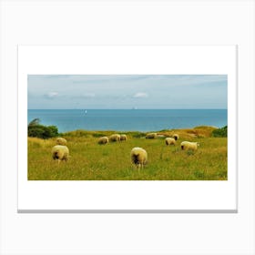 Sheep And The Sea Canvas Print