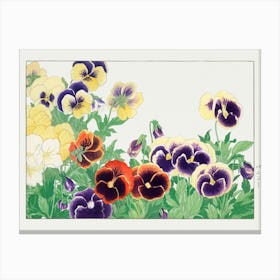 Pansies Canvas Print