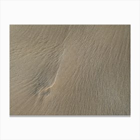 Natural structure of beige sand on the beach Canvas Print