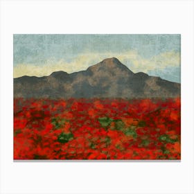 Poppy Field 2 Canvas Print