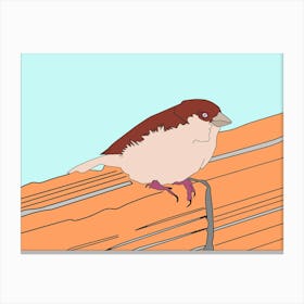 Bird Sparrow Nature Canvas Print