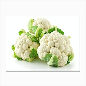 Cauliflower 7 Canvas Print