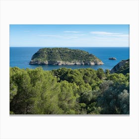 Trees and island on the Mediterranean coast Canvas Print