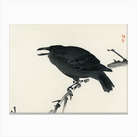 Crow watercolor Canvas Print