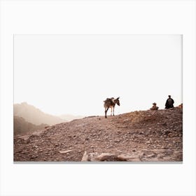 Jordan, Bedouin with it's donkey on a hill in Petra Canvas Print