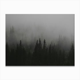 Foggy Forest Canvas Print