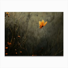 Single Flower In A Field Canvas Print