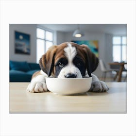 St. Bernard Puppy eating from a bowl Canvas Print