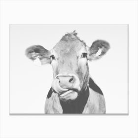 Tongue Out Cow Canvas Print