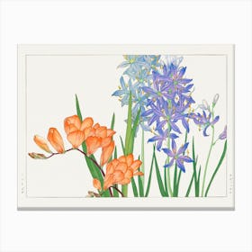 Freesia Flower, Japanese Woodblock Canvas Print