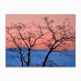 Nature's Palette, Pink And Blue Canvas Print