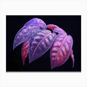 The Purple Leaf Canvas Print