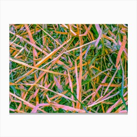 Grass Texture 202304161710149rt1pub Canvas Print