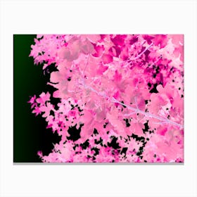 Pink Leaves Botanical Abstract Canvas Print