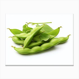 Soy Beans 4 Canvas Print