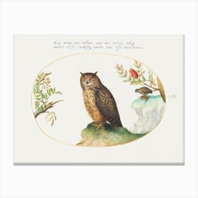 Owl With A Second In The Distance Eating A Rabbit (1575–1580), Joris Hoefnagel Canvas Print