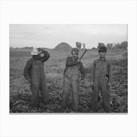 Untitled Photo, Possibly Related To Mexican Beet Workers, Near Fisher, Minnesota By Russell Lee Canvas Print