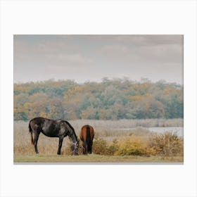 Horses Grazing At Lake Canvas Print