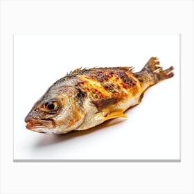 Grilled Fish Isolated On White Canvas Print