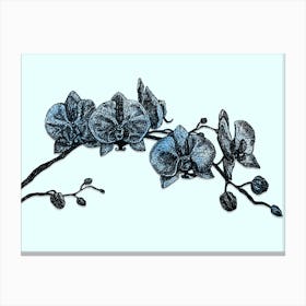 Blue Orchid Flower Illustration Artwork Canvas Print