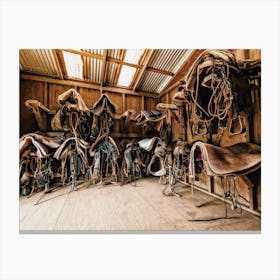 Western Saddle Collection Canvas Print