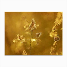 Wheat Stalk, Evening, Oil Painting Canvas Print