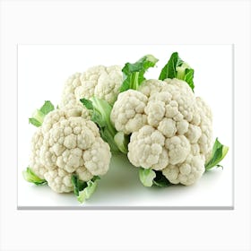 Cauliflower 15 Canvas Print