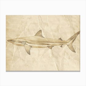 Isistius Genus Shark Silhouette 2 Canvas Print