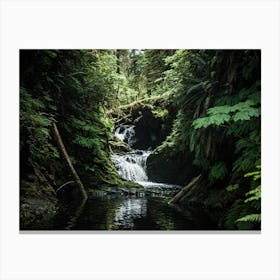 Rainforest Waterfall Canvas Print