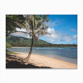 Hawaii Beach Canvas Print