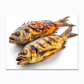 Two Grilled Fish On White Background Canvas Print