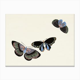 Japanese Butterfly, Cho Senshu (6) Canvas Print