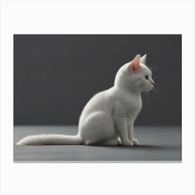 White Cat 2 Canvas Print