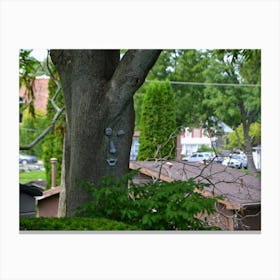 Face On A Tree Canvas Print