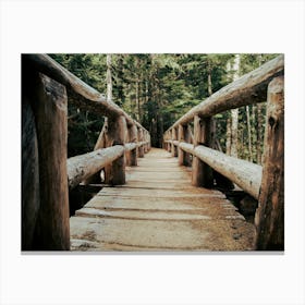 Trail Bridge Canvas Print