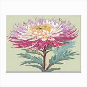 Chrysanthemum 19 Canvas Print