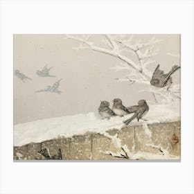 Birds In The Snow 2 Canvas Print