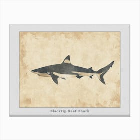 Blacktip Reef Shark Silhouette 3 Poster Canvas Print