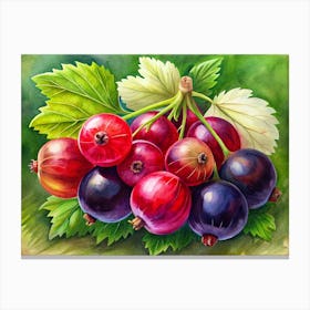 Red And Black Currants Watercolor Painting Canvas Print