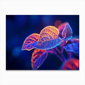 Florescence Canvas Print