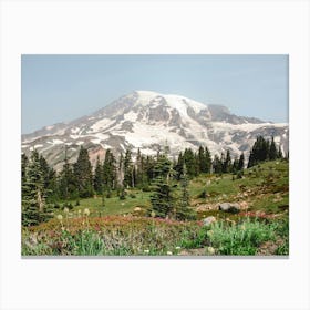 Mount Rainier Wildflowers - Mountain Photography Canvas Print