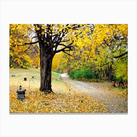 Autumn Scene 1  Canvas Print