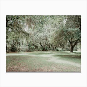 path in the park Canvas Print