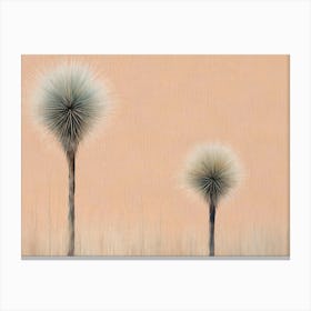 Australian native floral grass plants flowers Canvas Print