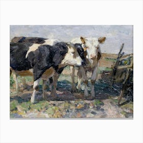 Vintage Cows In The Field Canvas Print