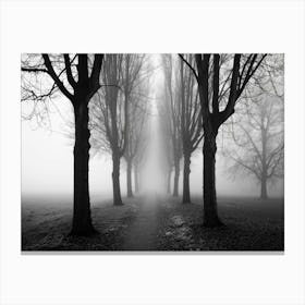 Foggy Path 1 Canvas Print